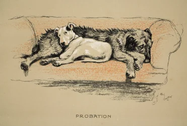 Probation, 1930, 1. udgave af 